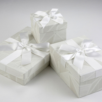 Die Accessoires-Boxen White Laser eignen sich perfekt zur Lagerung Ihrer Accessoires.